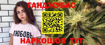 молекула духа Будённовск