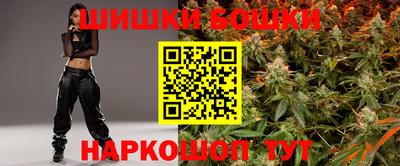молекула духа Будённовск