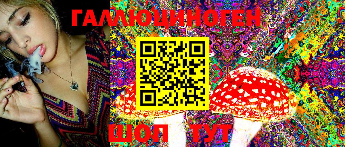 Галлюциногенные грибы MAGIC MUSHROOMS Удомля